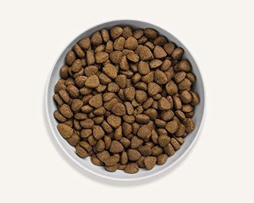 Canagan Grain Free Free-Run Chicken Dog Food 6kg