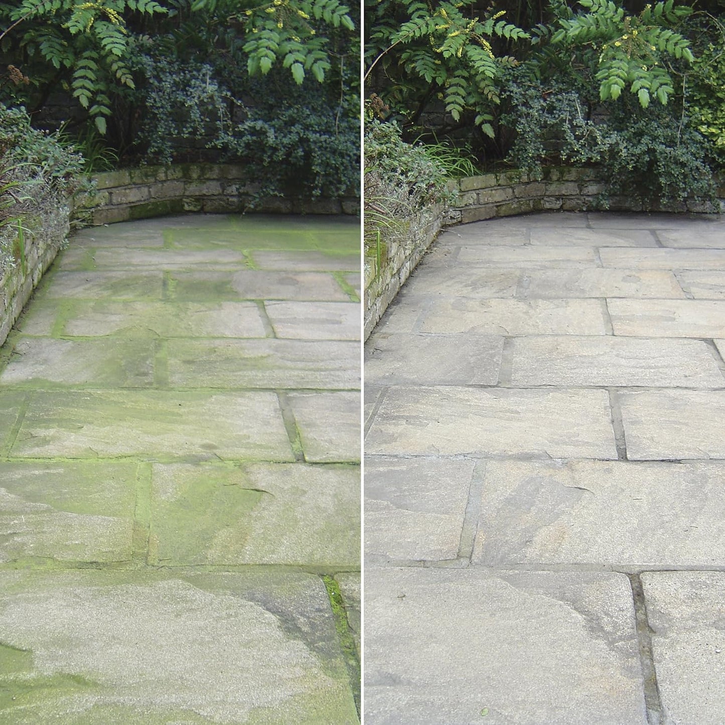 Patio Magic! 2.5L Concentrate - Kills Algae & Lichens, Ideal for Patios, Paths & Driveways