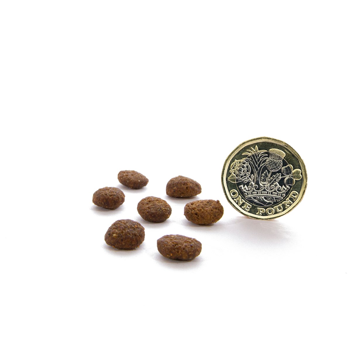 CANAGAN Grain-Free Country Game Dry Cat Food for Kittens & Adults