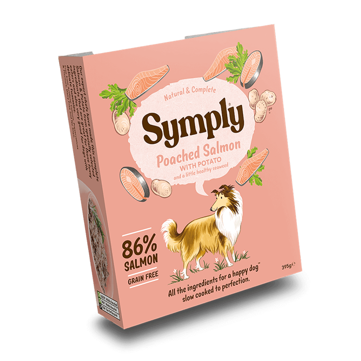 Grain-Free Poached Salmon β Nutritious Wet Dog Food for Adult Dogs 395g pack of 7