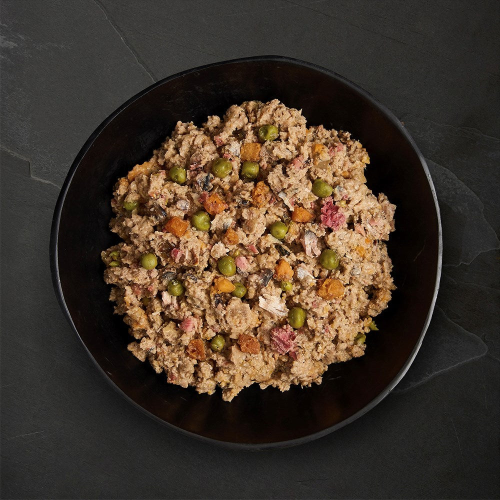 CANAGAN Nourishing Wet Dog Food β Salmon & Herring Supper for Puppies & Adults 6x400g