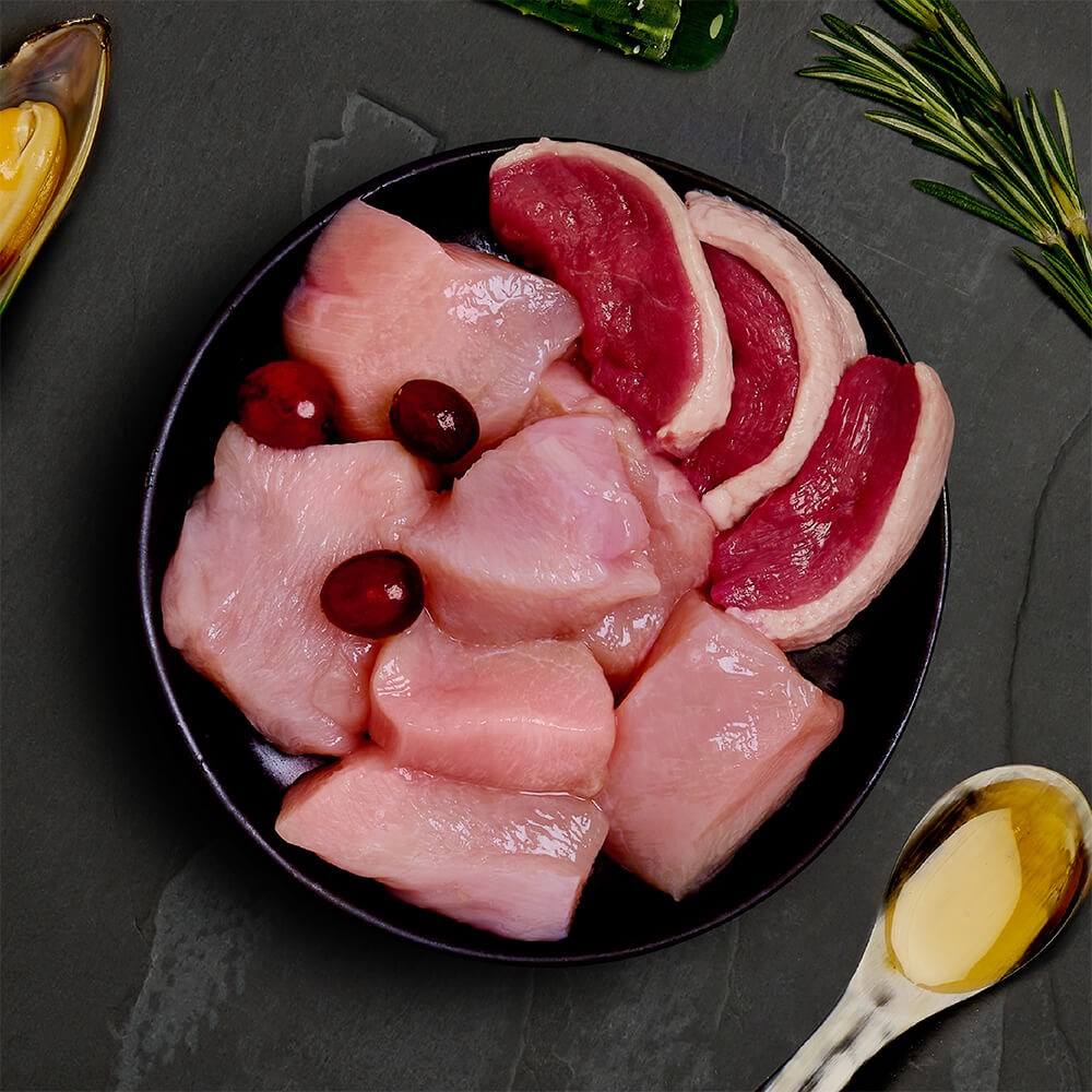 CANAGAN Gourmet Wet Cat Food – Chicken & Duck Recipe for Adult Cats 8 PACKS OF 85g