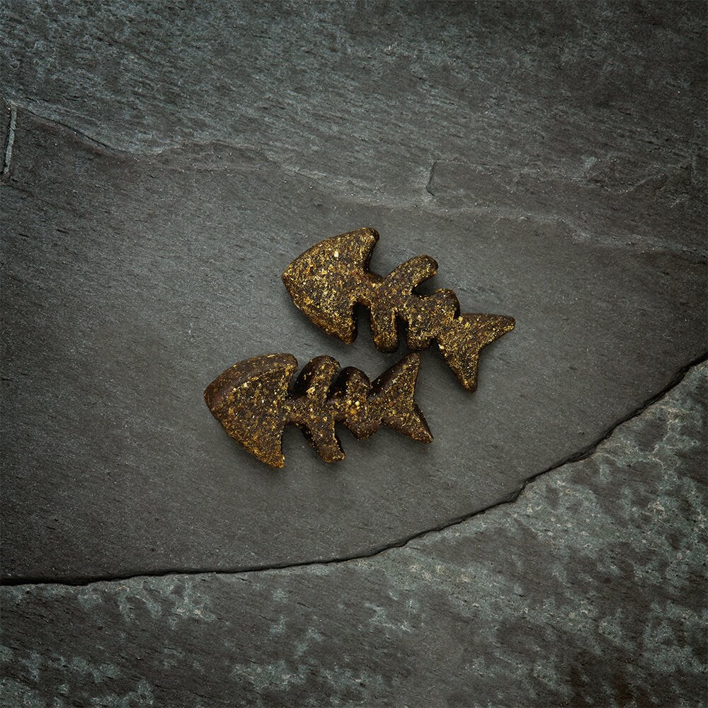 CANAGAN Delicious Dog Treats β Salmon Softies for Puppies & Adults 200g